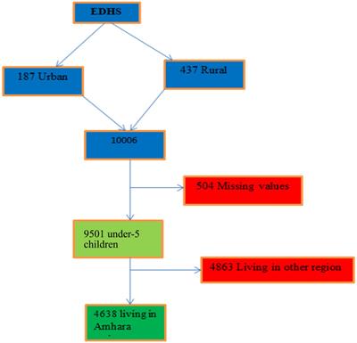 Predictive modeling and socioeconomic determinants of diarrhea in children under five in the Amhara Region, Ethiopia